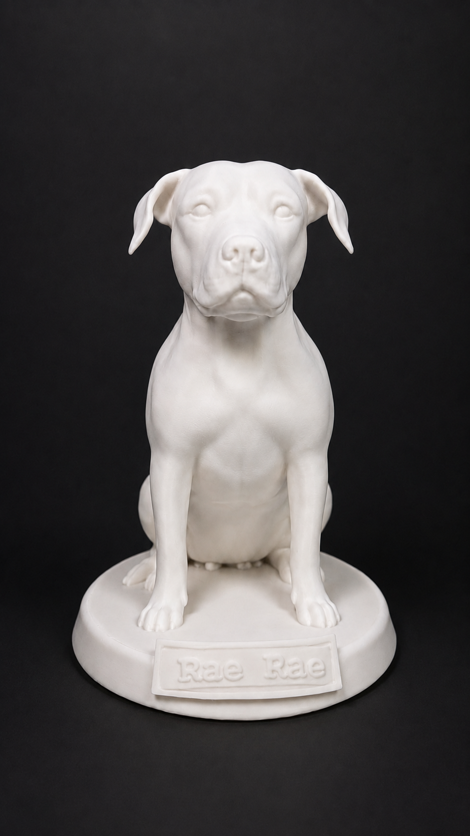 Approved unpainted printed statue of Rae Rae